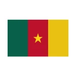 Flag of Cameroon