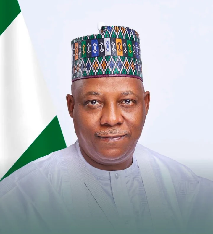 Official portrait of Kashim Shettima