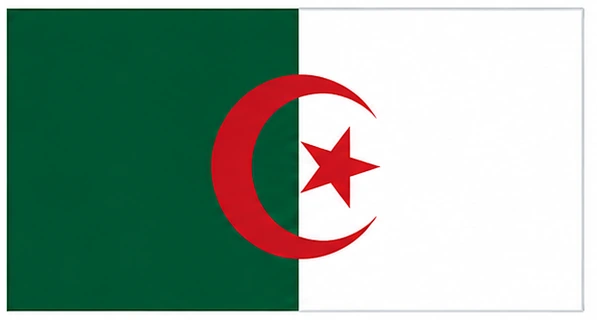 Algeria flag