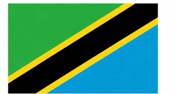 Tanzania flag