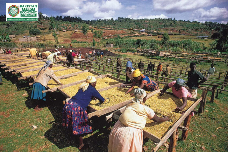 Kenya-Post---800-x-533