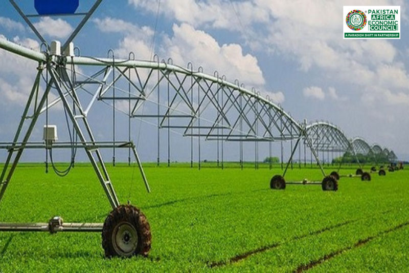 Rwanda: Gateway for High-Value Agriculture and Tech Partnerships